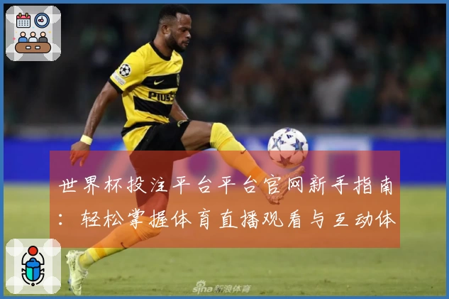 世界杯投注平台平台官网新手指南：轻松掌握体育直播观看与互动体验