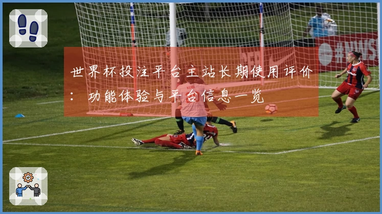 世界杯投注平台主站长期使用评价：功能体验与平台信息一览