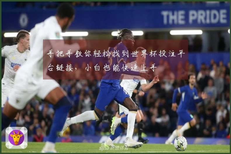 手把手教你轻松找到世界杯投注平台链接，小白也能快速上手