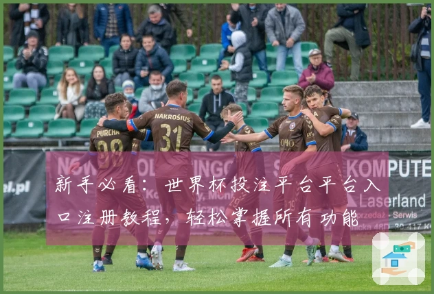 新手必看：世界杯投注平台平台入口注册教程，轻松掌握所有功能