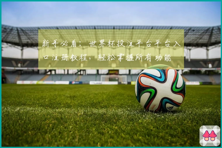 新手必看：世界杯投注平台平台入口注册教程，轻松掌握所有功能