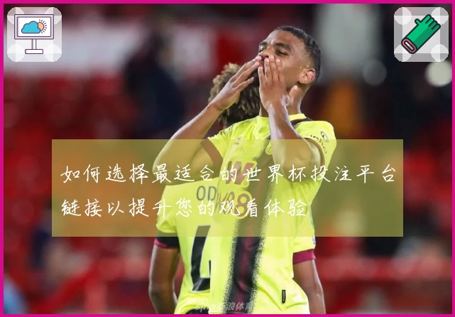 如何选择最适合的世界杯投注平台链接以提升您的观看体验